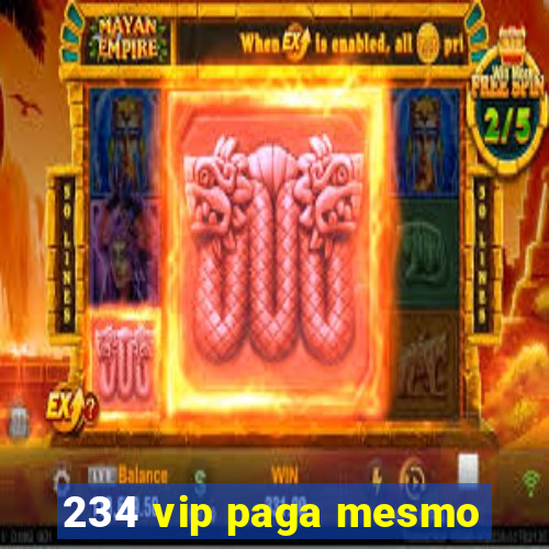 234 vip paga mesmo